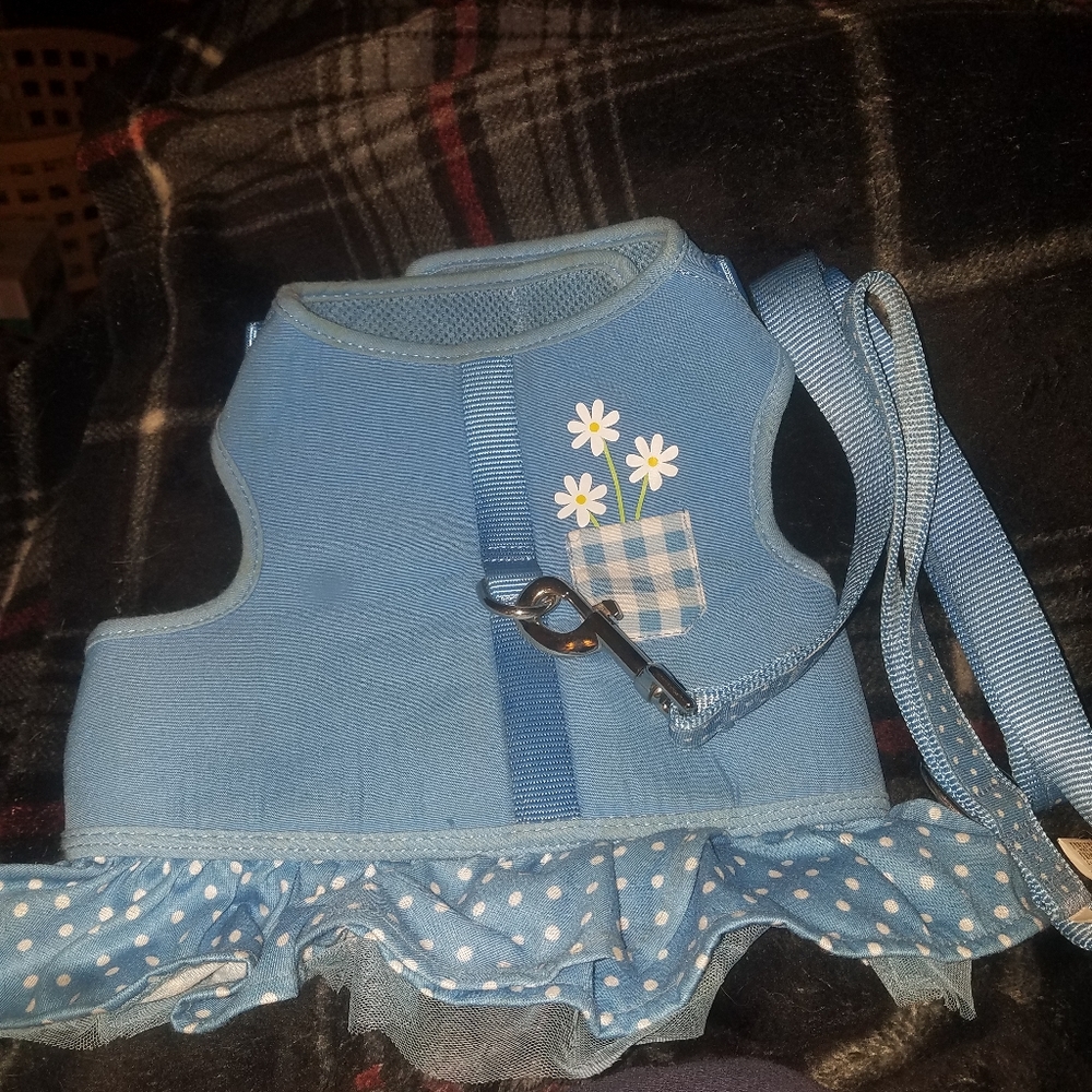 Martha Stewart dress harness with matching leash